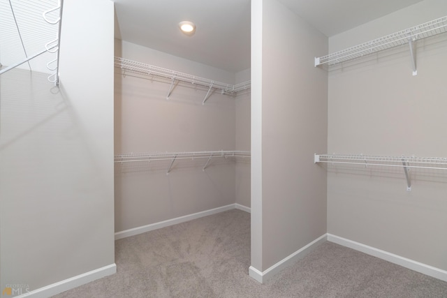 walk in closet featuring light carpet