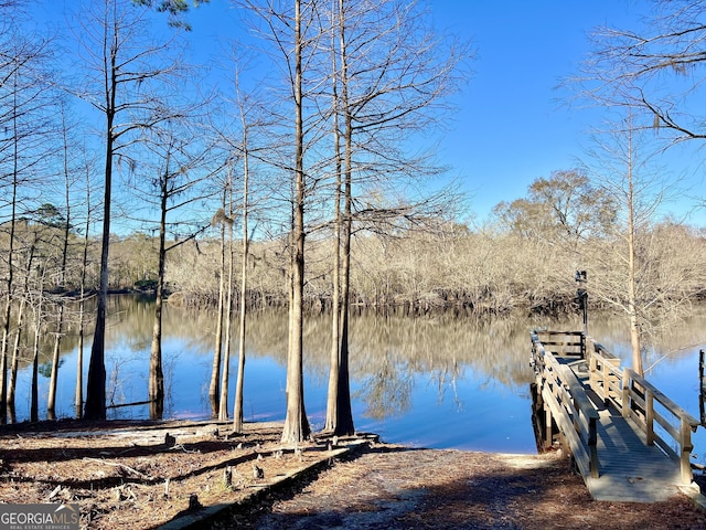 dock area featuring a water view