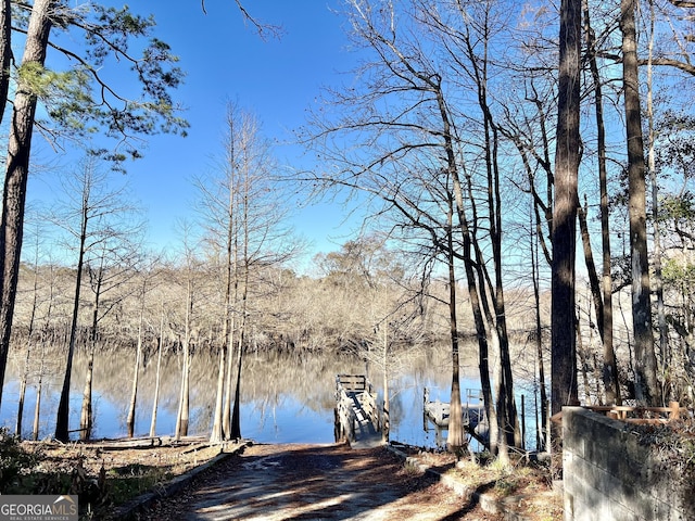 view of water feature