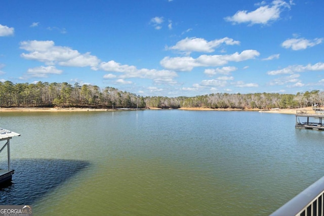 property view of water featuring a dock