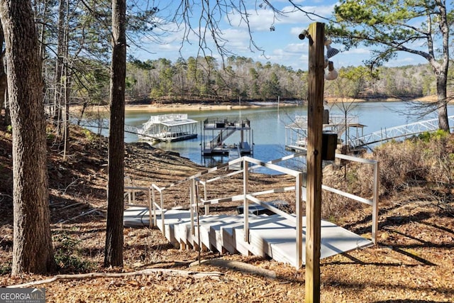 dock area featuring a water view