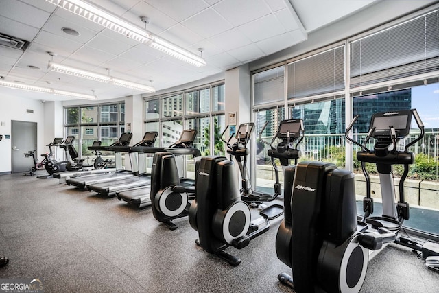 gym featuring a wall of windows and a drop ceiling