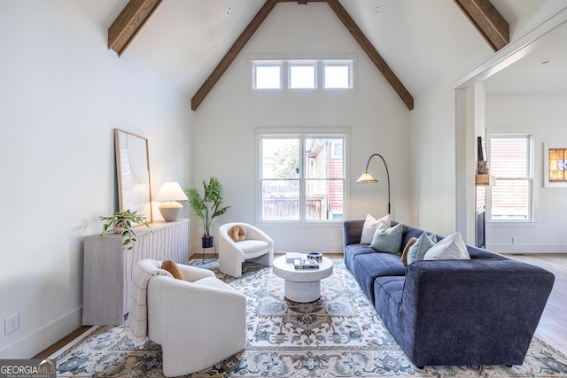 living room featuring a healthy amount of sunlight, hardwood / wood-style floors, and beamed ceiling