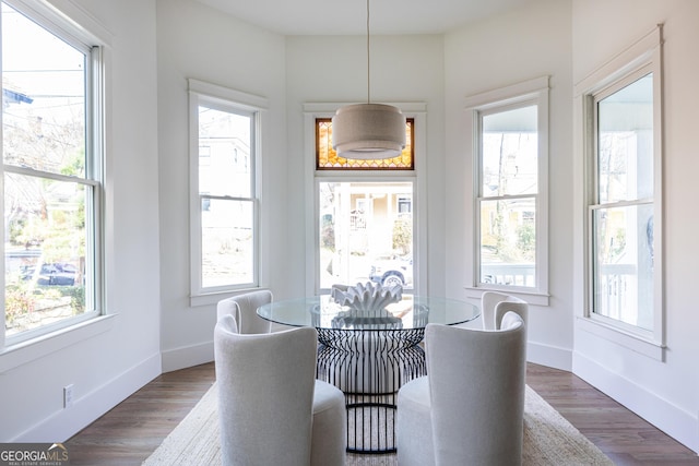 dining room featuring dark wood-type flooring