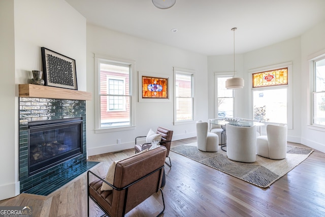 living room featuring hardwood / wood-style flooring