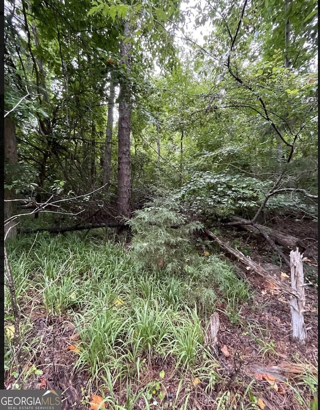 LOT51 Alpine Way, Lavonia GA, 30553 land for sale