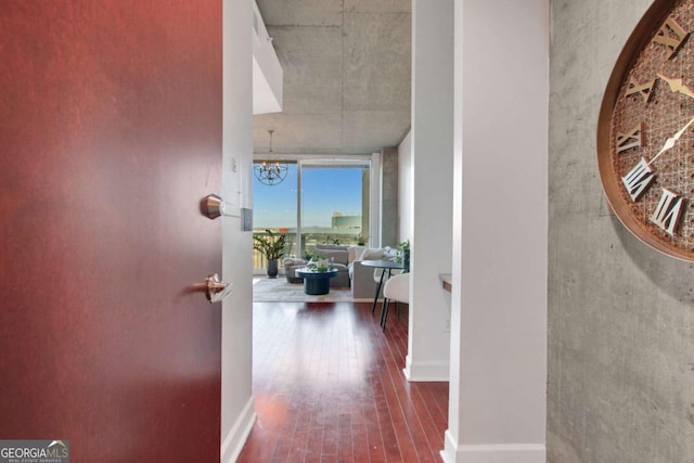 corridor with an inviting chandelier, hardwood / wood-style flooring, and expansive windows