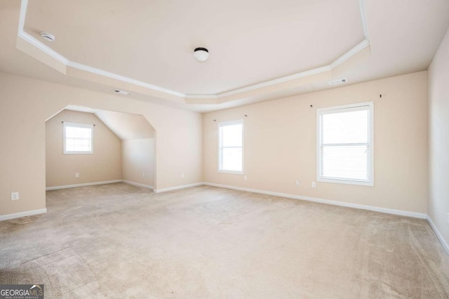 bonus room with light carpet