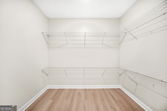 walk in closet with wood-type flooring