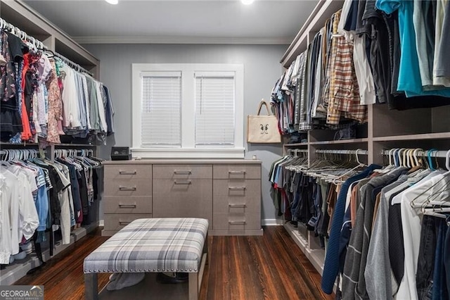 spacious closet featuring dark wood-type flooring