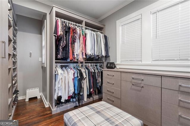 spacious closet featuring dark hardwood / wood-style flooring