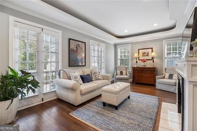 sitting room with ornamental molding, a tray ceiling, and dark hardwood / wood-style floors