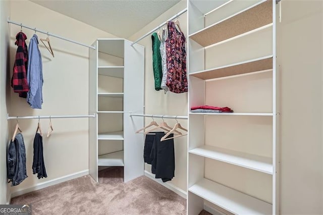 walk in closet featuring carpet flooring