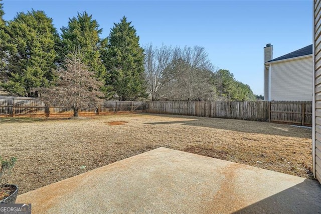 view of yard featuring a patio area