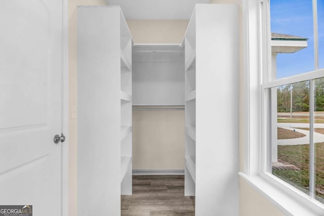 walk in closet with hardwood / wood-style floors