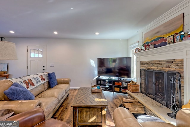 living room with a fireplace and wood-type flooring