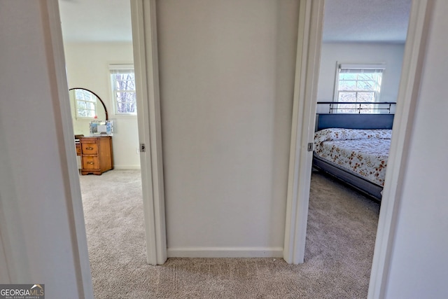 hallway featuring a wealth of natural light and light colored carpet