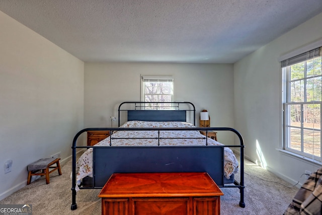 carpeted bedroom with a textured ceiling and multiple windows