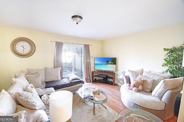 living room with hardwood / wood-style floors