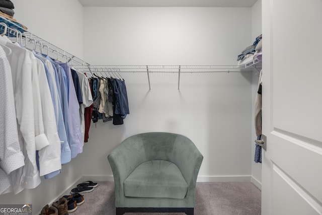 spacious closet featuring carpet floors