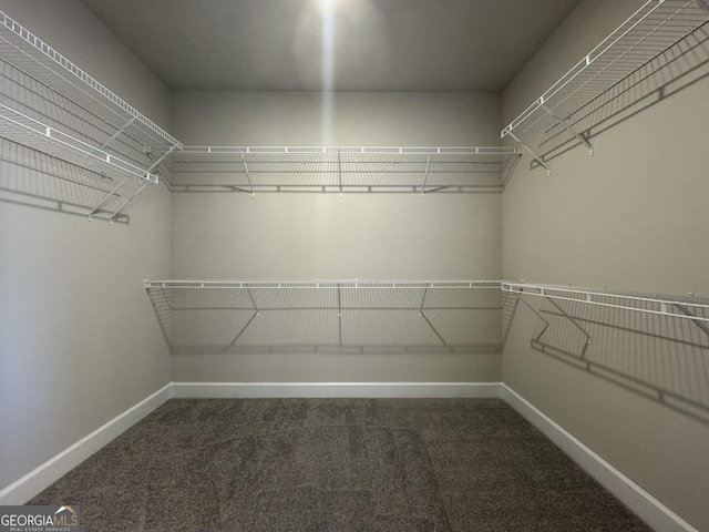 walk in closet featuring dark colored carpet