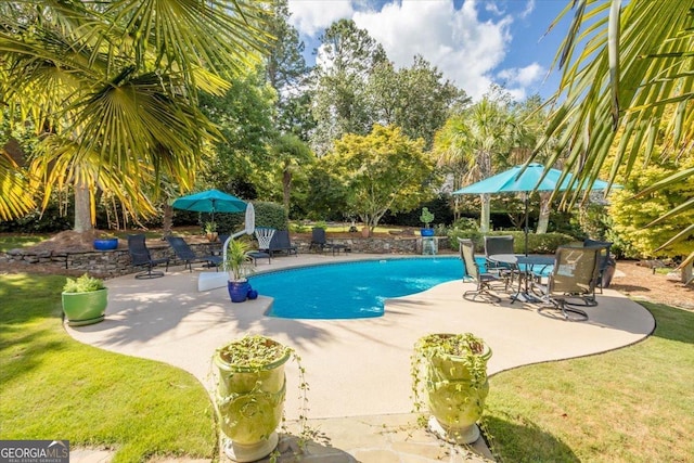 view of swimming pool with a lawn and a patio