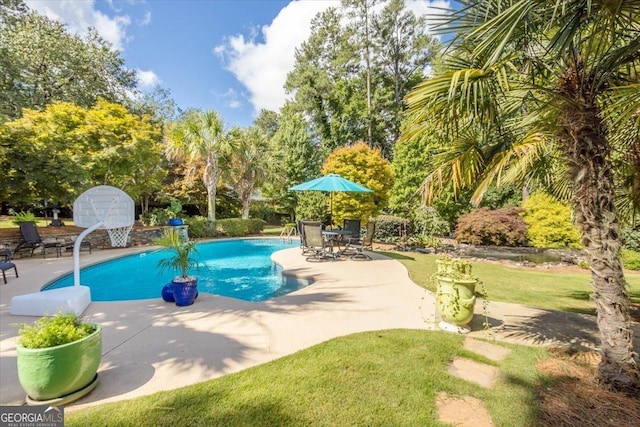 view of pool with a patio area