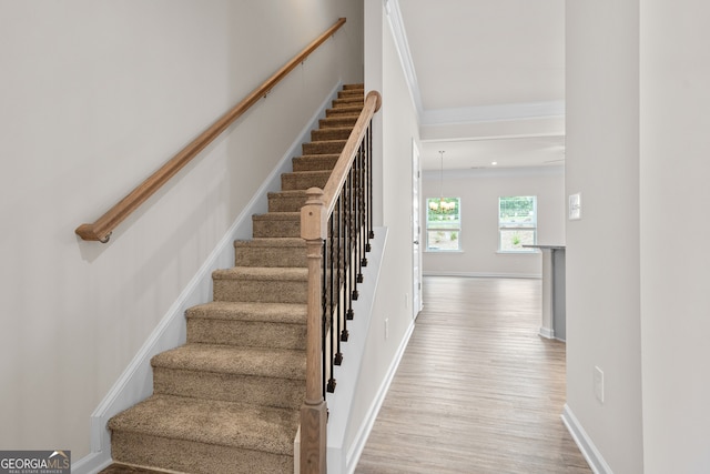 stairs with hardwood / wood-style flooring and crown molding