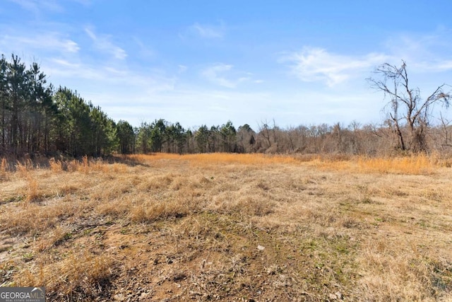 view of local wilderness featuring a rural view