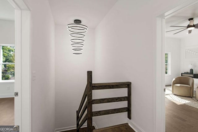 stairs featuring ceiling fan and hardwood / wood-style flooring