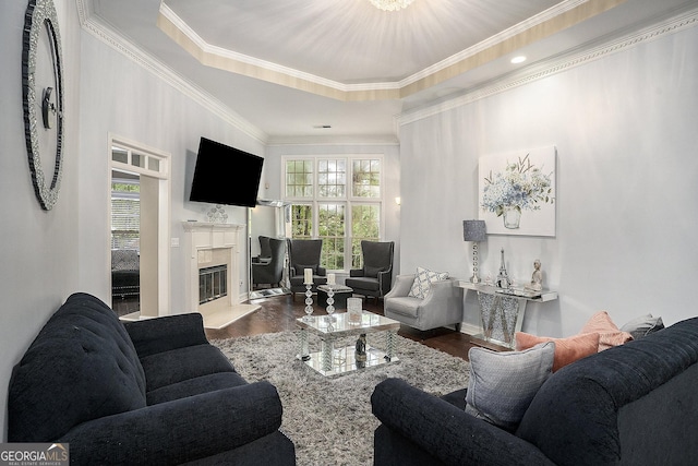 living room with a healthy amount of sunlight, a premium fireplace, dark hardwood / wood-style floors, and a tray ceiling