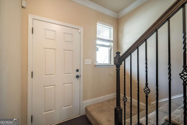 foyer featuring crown molding and dark hardwood / wood-style floors