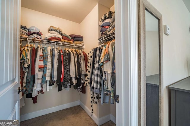 spacious closet featuring carpet floors