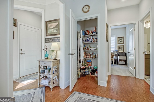 hall with light hardwood / wood-style flooring