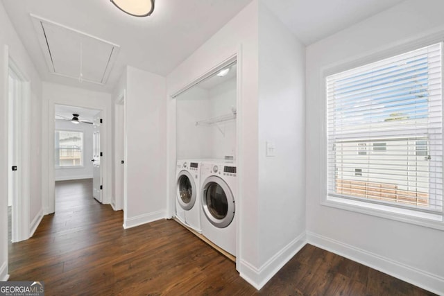 laundry area with ceiling fan, separate washer and dryer, and dark hardwood / wood-style floors