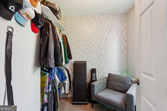 walk in closet with carpet flooring