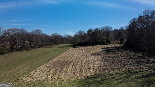 view of yard featuring a rural view