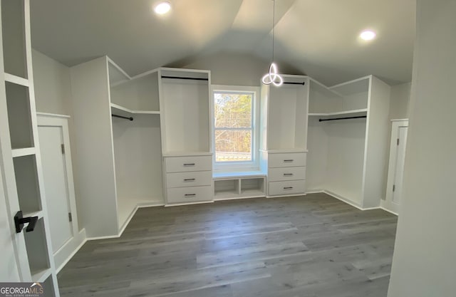 spacious closet featuring vaulted ceiling and wood-type flooring