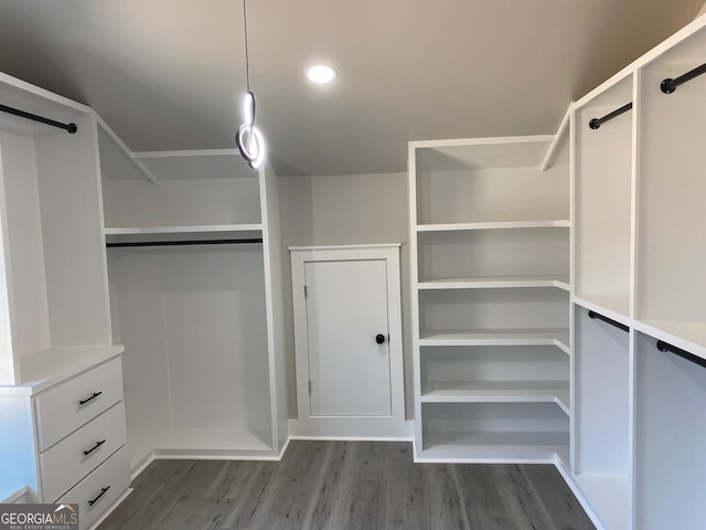 spacious closet featuring dark wood-type flooring