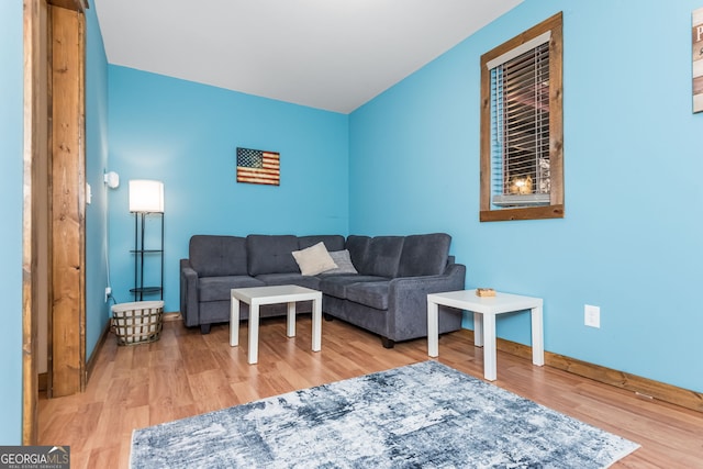 living room featuring wood-type flooring