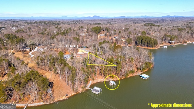 drone / aerial view featuring a water and mountain view