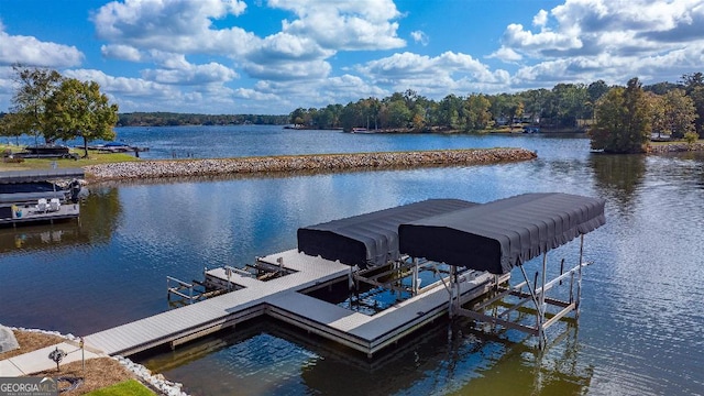 dock area with a water view