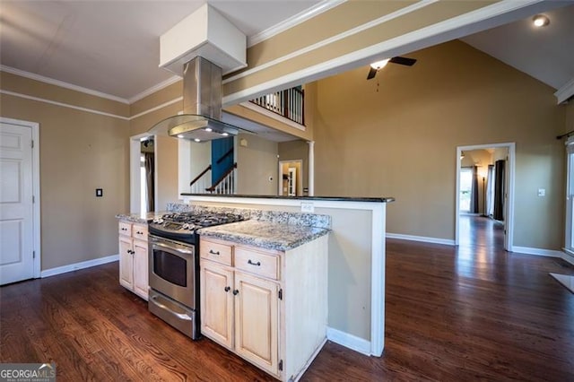 kitchen with ornamental molding, dark hardwood / wood-style flooring, stainless steel gas stove, and island range hood