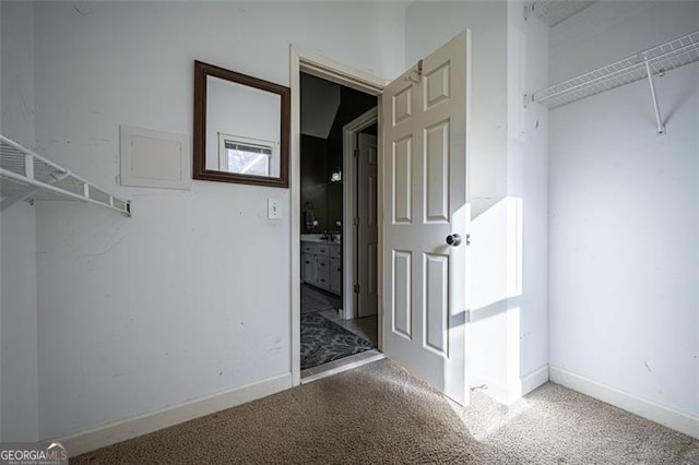 walk in closet with carpet floors