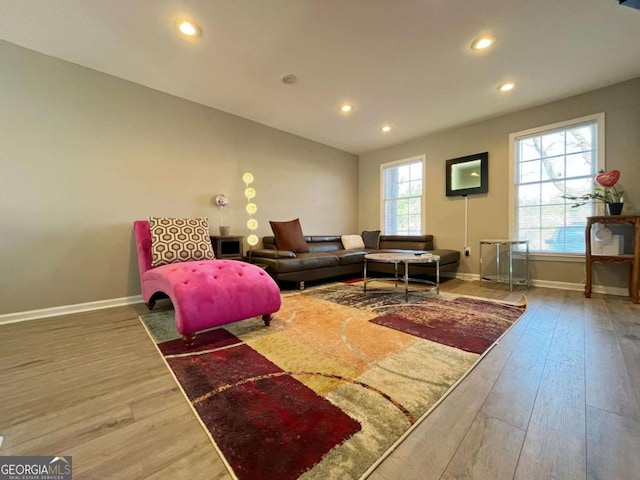 living room with hardwood / wood-style flooring and a healthy amount of sunlight