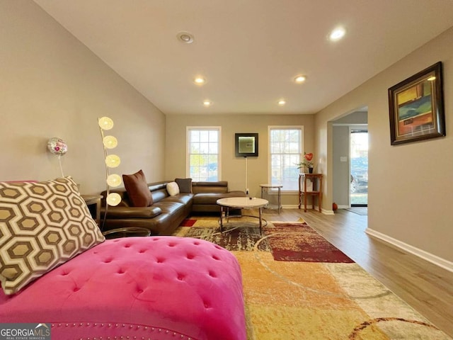 living room featuring wood-type flooring