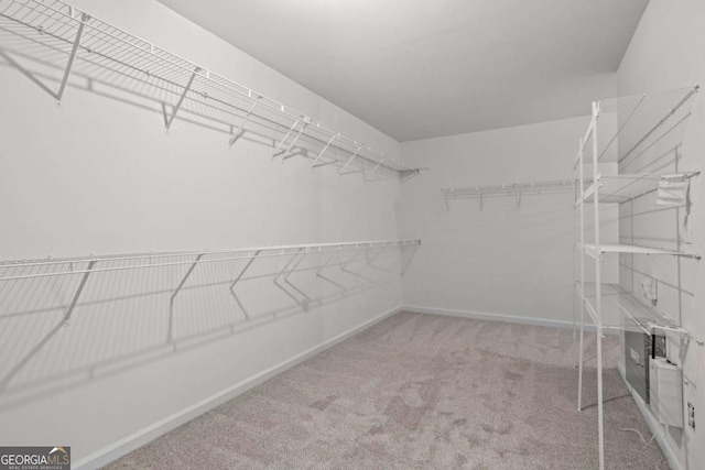 spacious closet featuring carpet