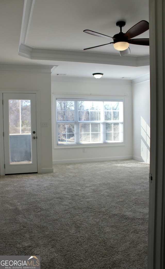 carpeted spare room featuring a raised ceiling, ceiling fan, and ornamental molding