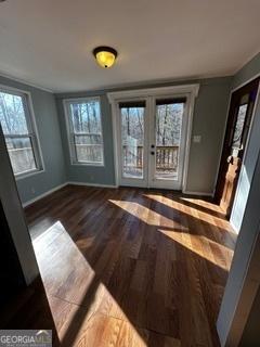 interior space featuring dark hardwood / wood-style flooring, french doors, and a healthy amount of sunlight