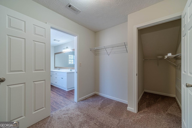 spacious closet with sink and carpet